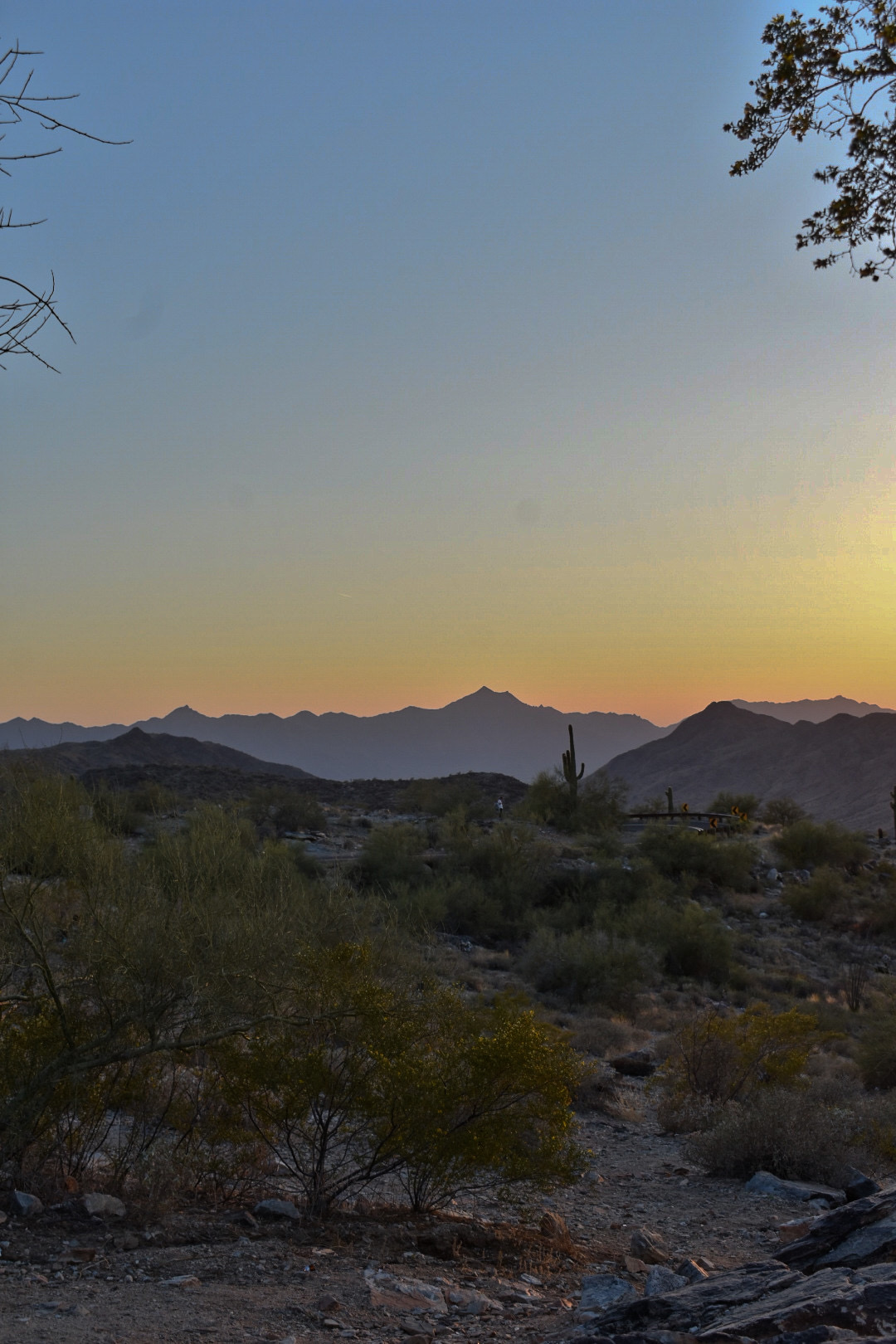 Arizona 6