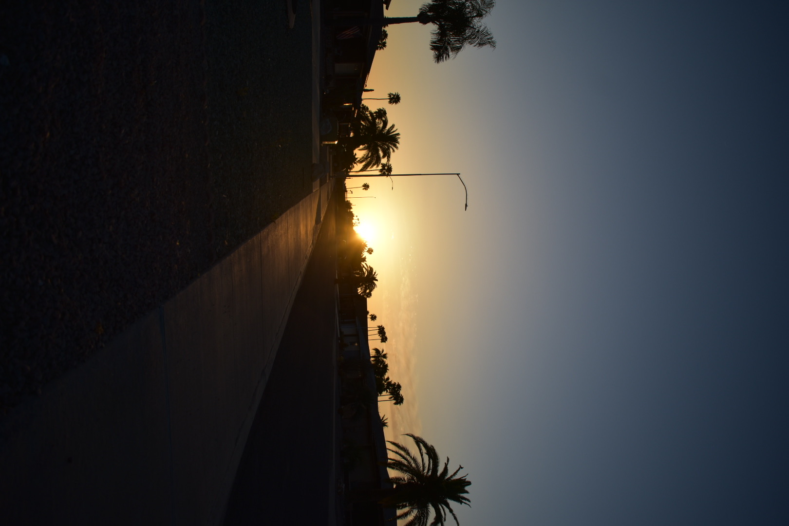 Arizona 7